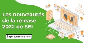 vignette pour article actualite nouveautes de la release 2022 de sei