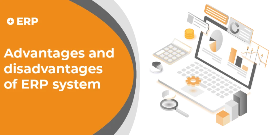 panel advantages and disadvantages of erp system