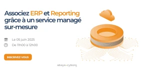 Vignette illustrant la page de la conférence web ERP et Reporting